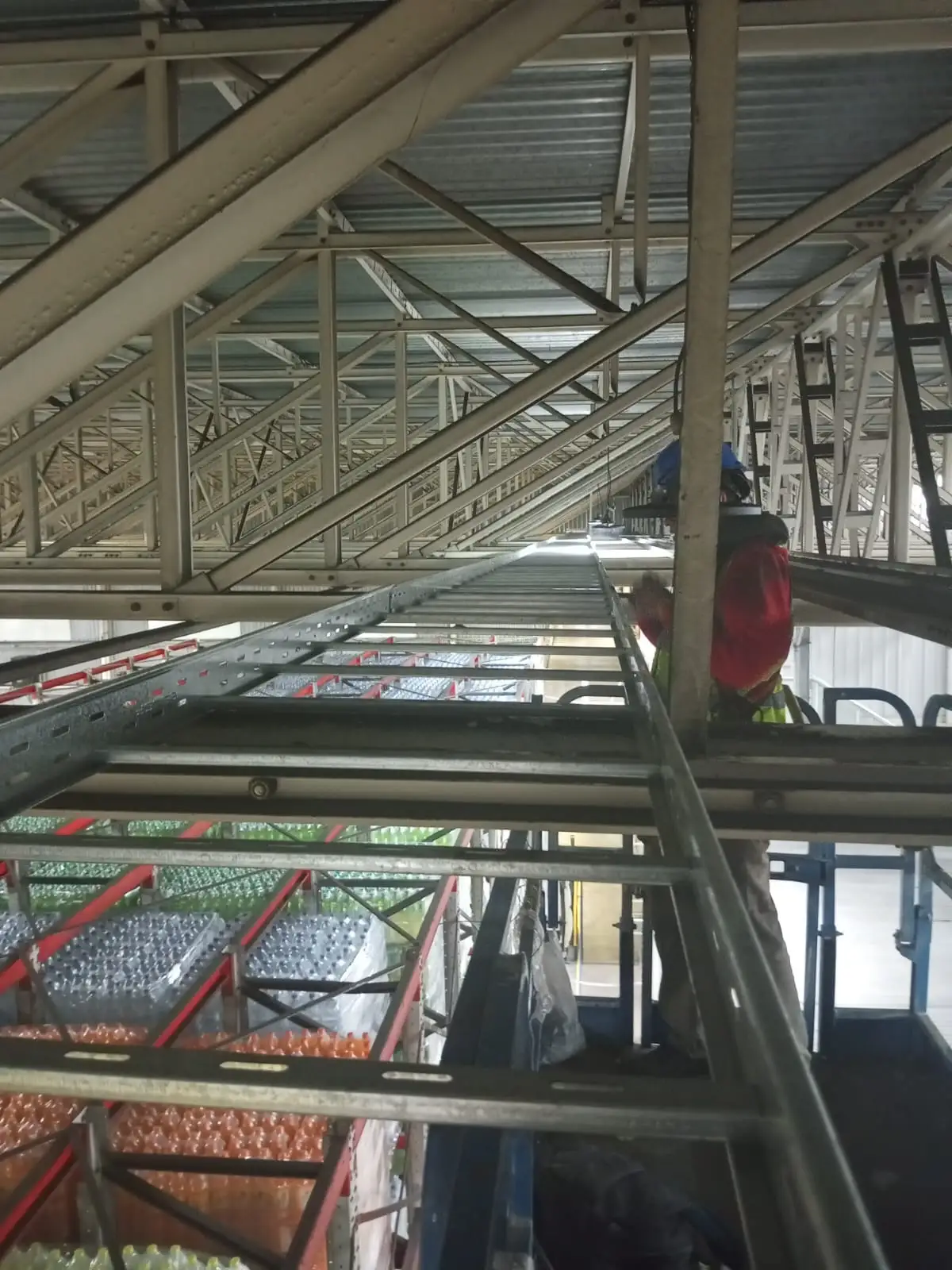 Tendido de bandejas portacables en planta industrial Pritty, Córdoba